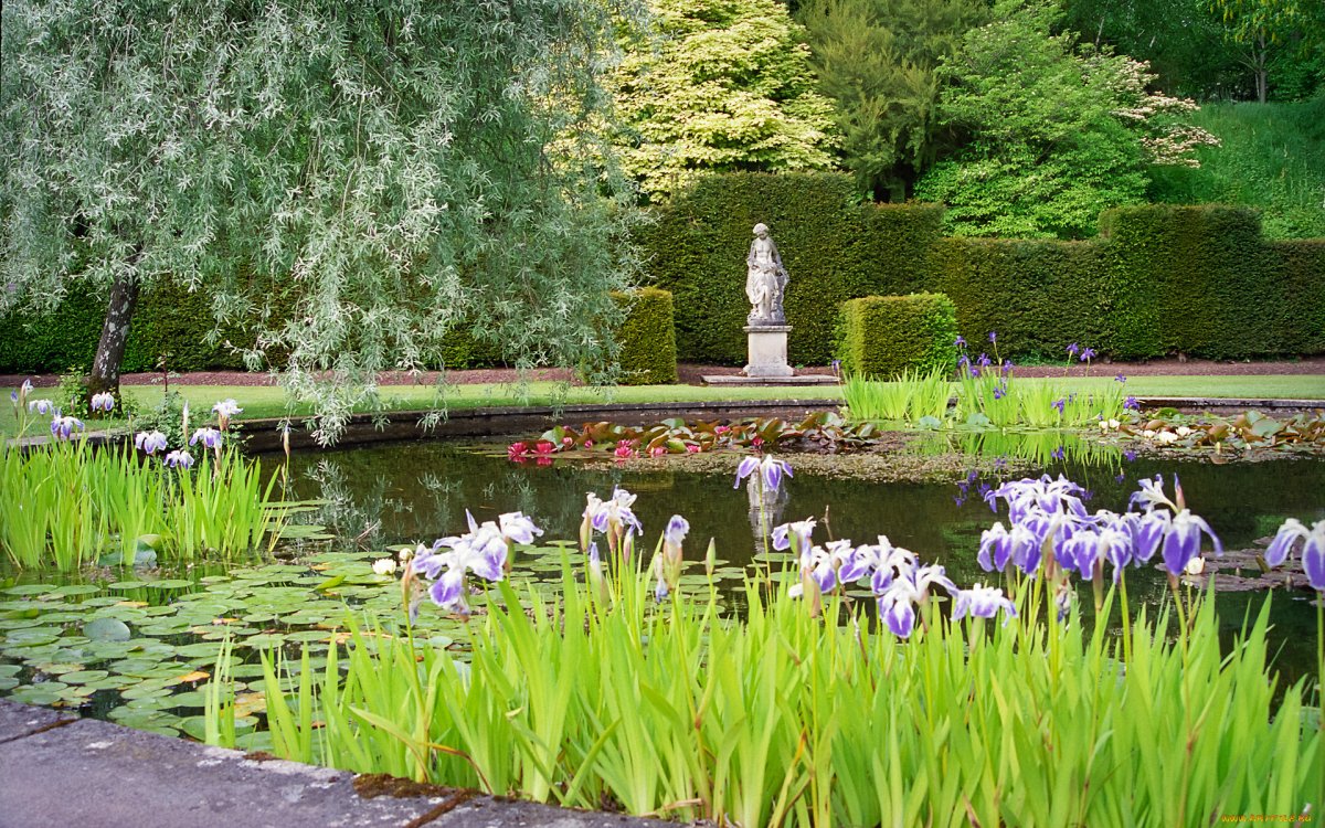 Английский парк картинки. Англия английский ландшафтный парк сады фонтаны. Фонтанчик английский сад парк пруд. Сад Трокадеро пруд. Боргезе вилла ландшафт.