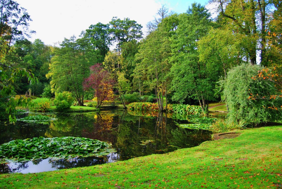 Английский парк картинки. Парк Стоурхед Англия. Английский пейзажный парк Англия. Английский сад пейзажный парк. Английский пейзажный парк Стоурхед.