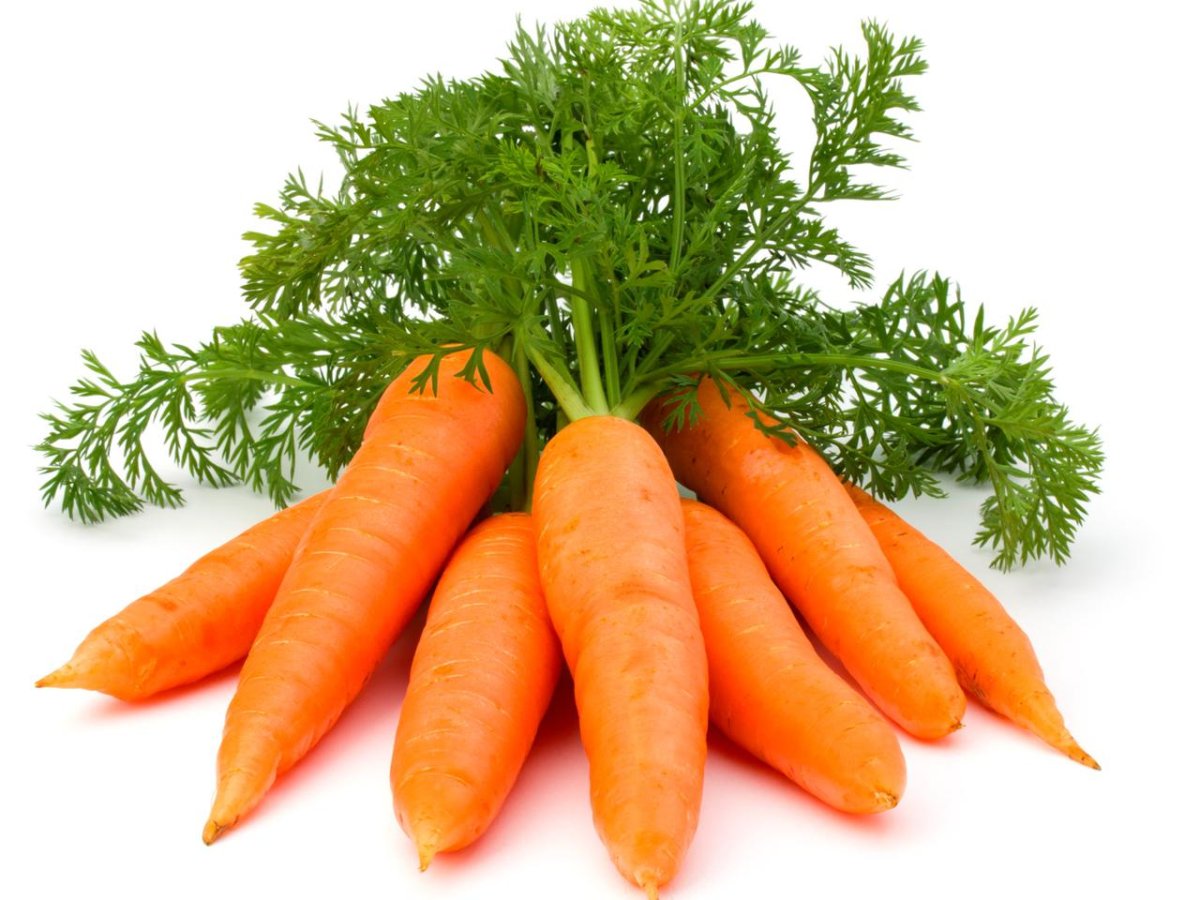 Морковь. Морковь для детей. Карточка морковь. Карточки для детей морковь. Как по английски морковь