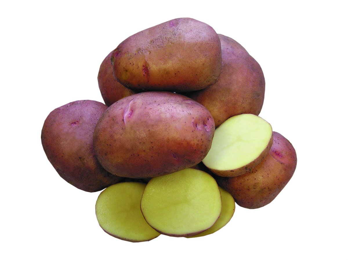 Картофель скарб купить. Аусония сорт картофеля. Картофель семенной Беллароза. Сорт картошки Императрица. Сорт картофеля Краса.