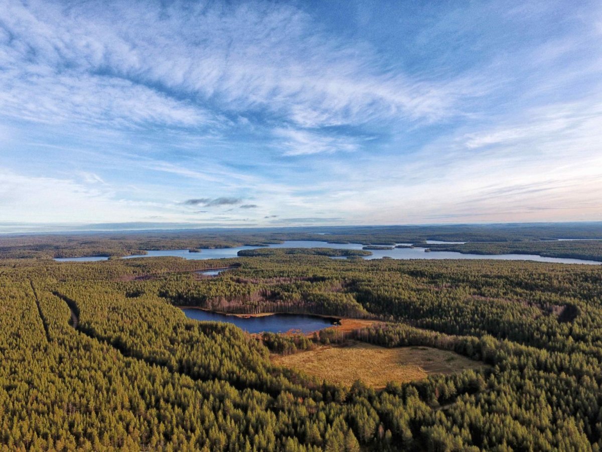 Первый национальный парк был создан. Калевальский национальный парк. Калевальский национальный парк озера. Парк Калевала Карелия. Калевальский заповедник Карелия.