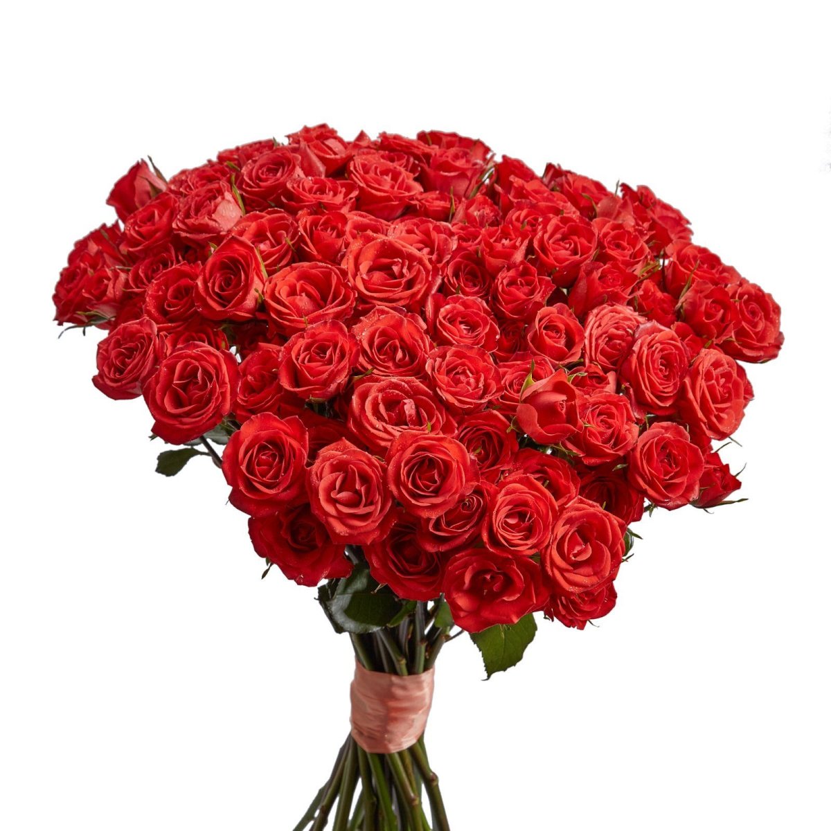 В букете было красных роз. Букет роз. Огромные букеты из роз. Букет красных роз. Шикарный букет из роз.