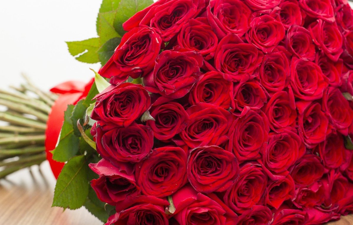В букете было красных роз. Шикарный букет роз. Букет красных роз. Buket krasnix roz. Огромный букет.