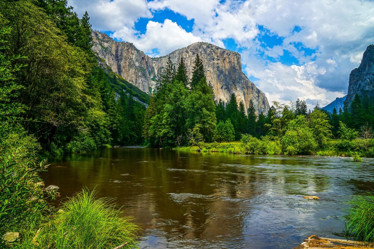 Организация национального парка. Парк Йосемити. Река Мерсед, Йосемити, США.. Национальный заповедник "Yosemite National Park",. Йосемити национальный парк фото.