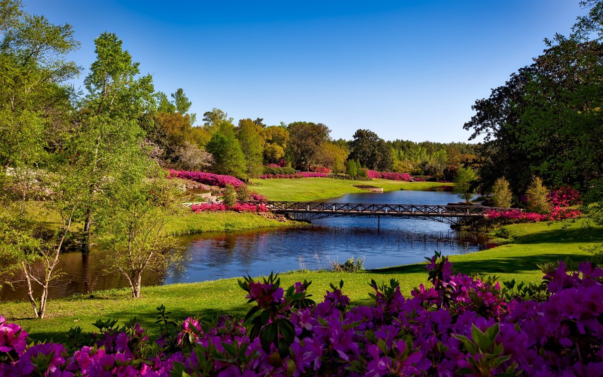 Парк «сады Европы» у озера Анси. Весенний пейзаж. Цветущие реки и озера
