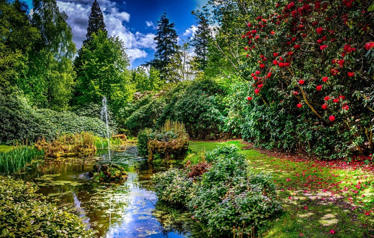 Таттон-парке в Англии. Сад Таттон. Красивый сад. Работают ли сады летом