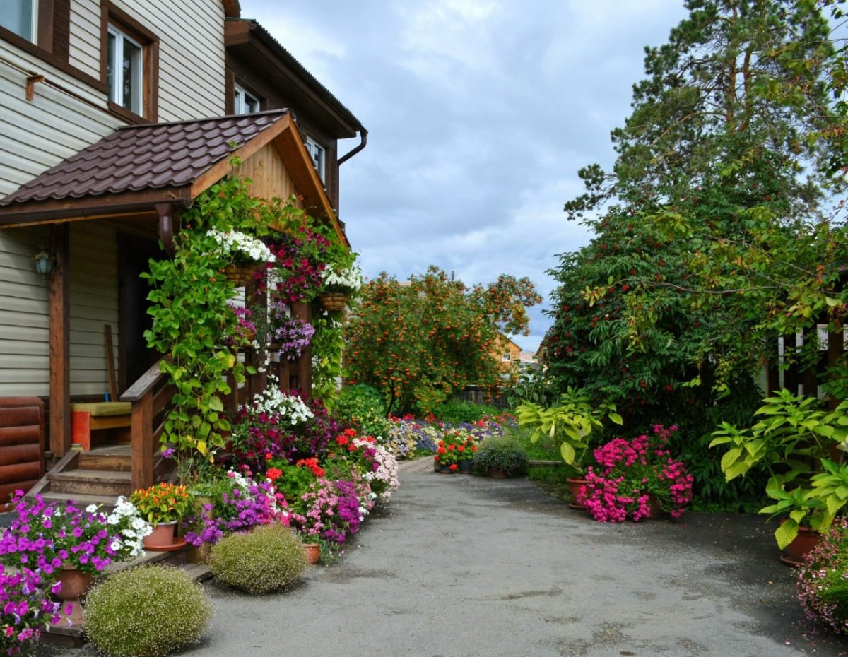Фото цветов перед домом