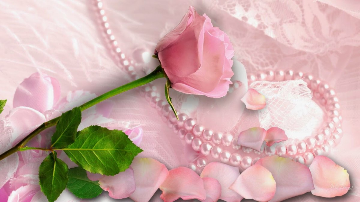 Розовый белый видео. Красивые нежные цветы. Нежные картинки для фона. Нежный цветок. Розовые розы.