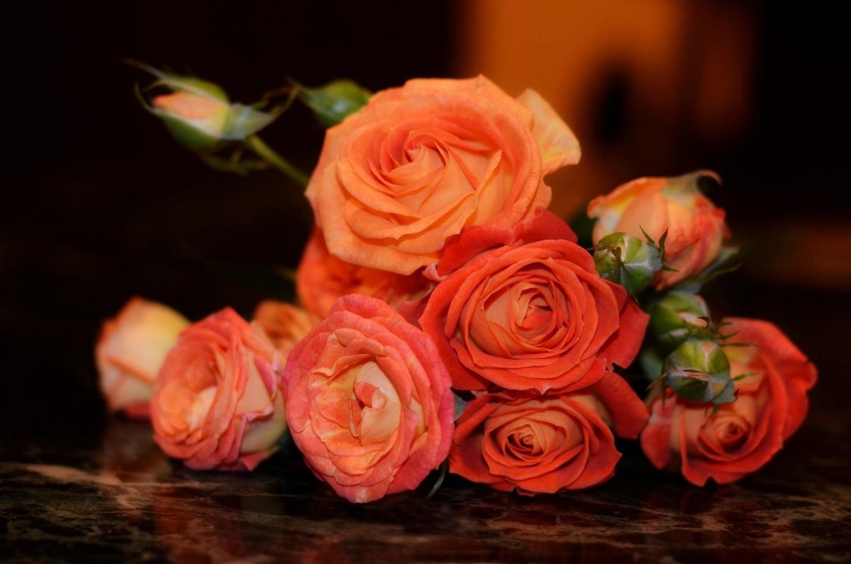 Оранжевые розы в вазе. Терракотовые розы букет. Оранжевые розы. Розы оранжевые с красным.