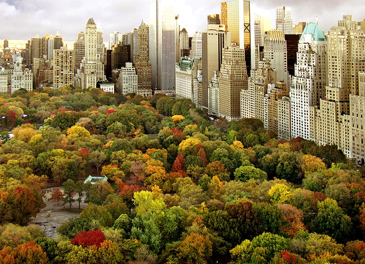 Central park 22. Осенний Центральный парк Нью-Йорка. Центральный парк Нью-Йорк осенью. Централ парк осенью Нью Йорк. Центральный парк Нью-Йорка фото.