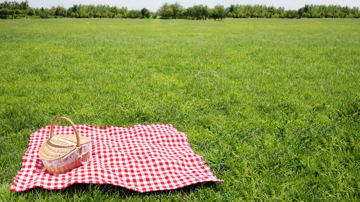 Бумажный пикник. Скатерть на траве. Поляна для пикника. Полянка для пикника. Плед для пикника.