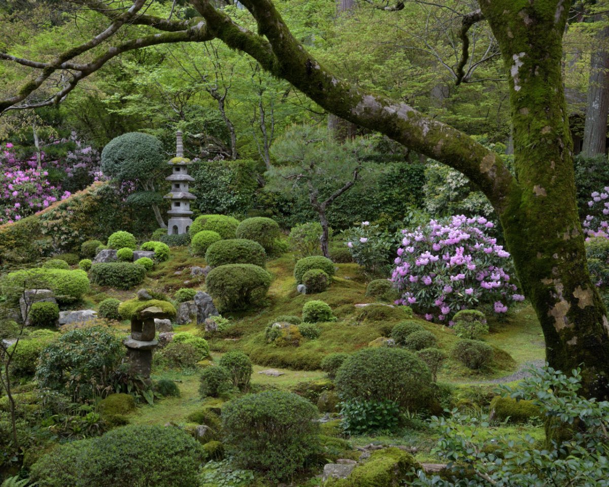 Телефон сады 8. Храм мхов Сайходзи. Сад мхов Сайходзи. Сад мхов в Японии. Сад камней и сад мхов Япония.