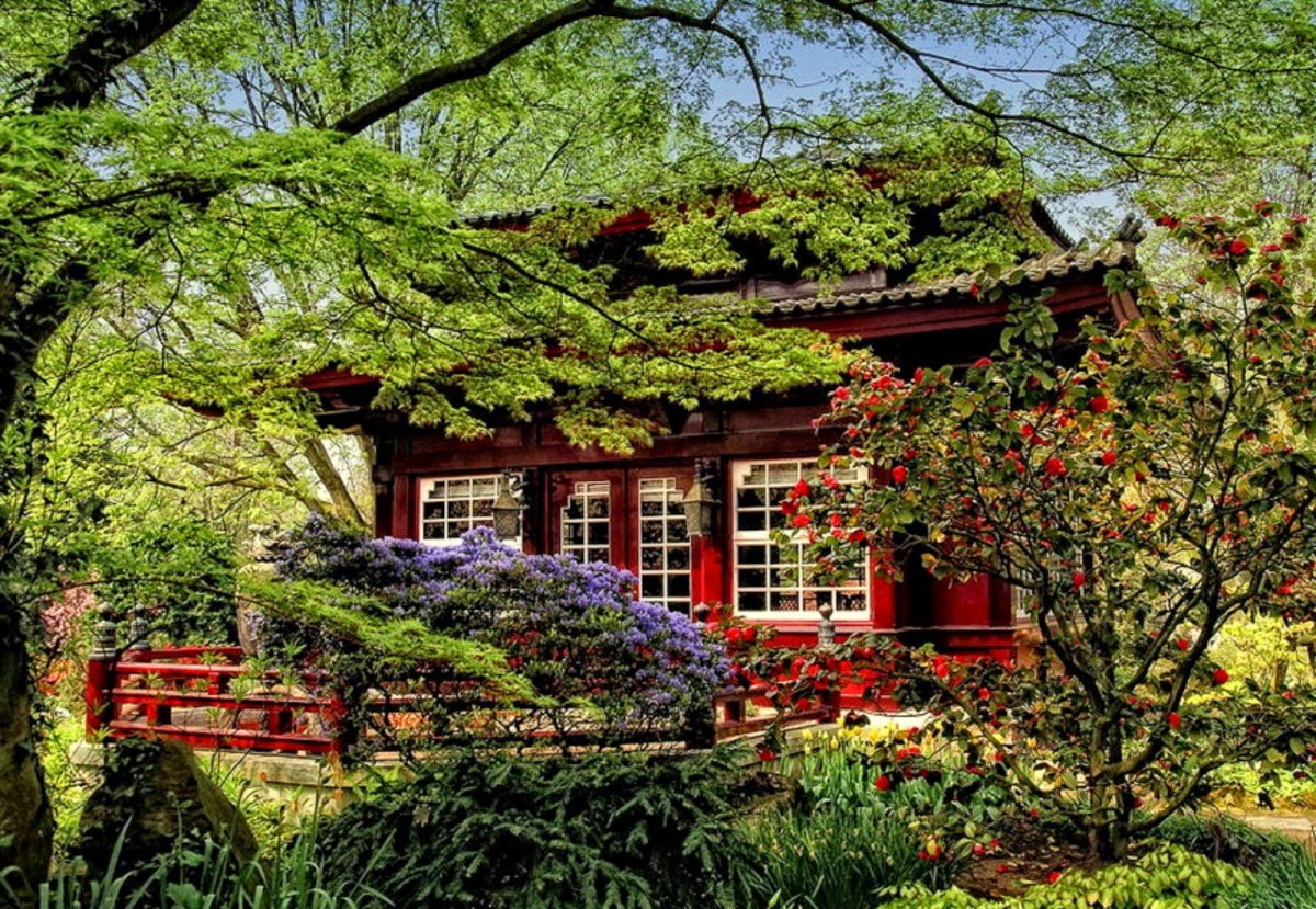 Дом с садом купить в краснодарском крае. Чайный домик в саду Кэнроку эн. Деревенский дом в Японии. Чайный домик «Цветущий сад».