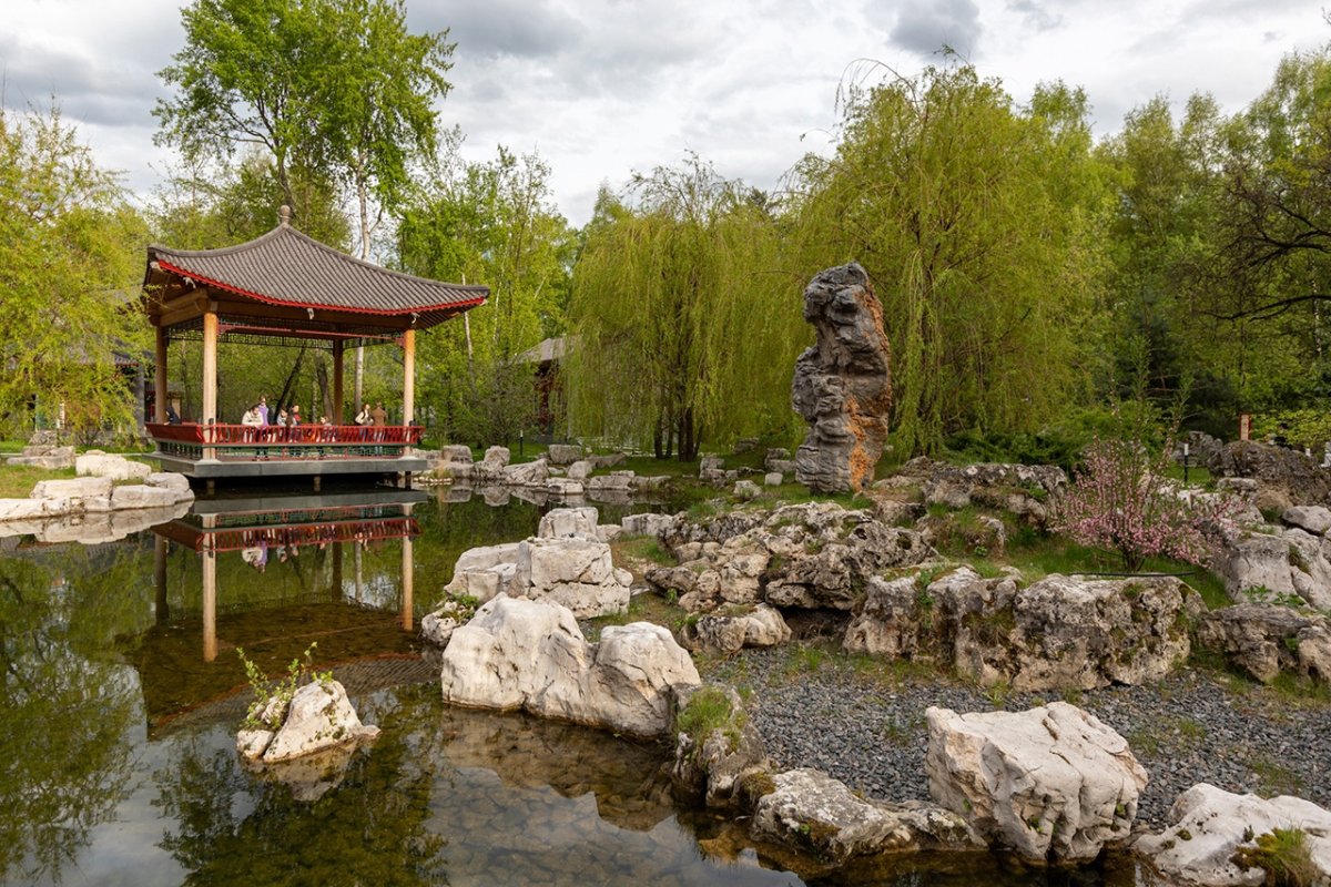 Китайский парк ботанический сад