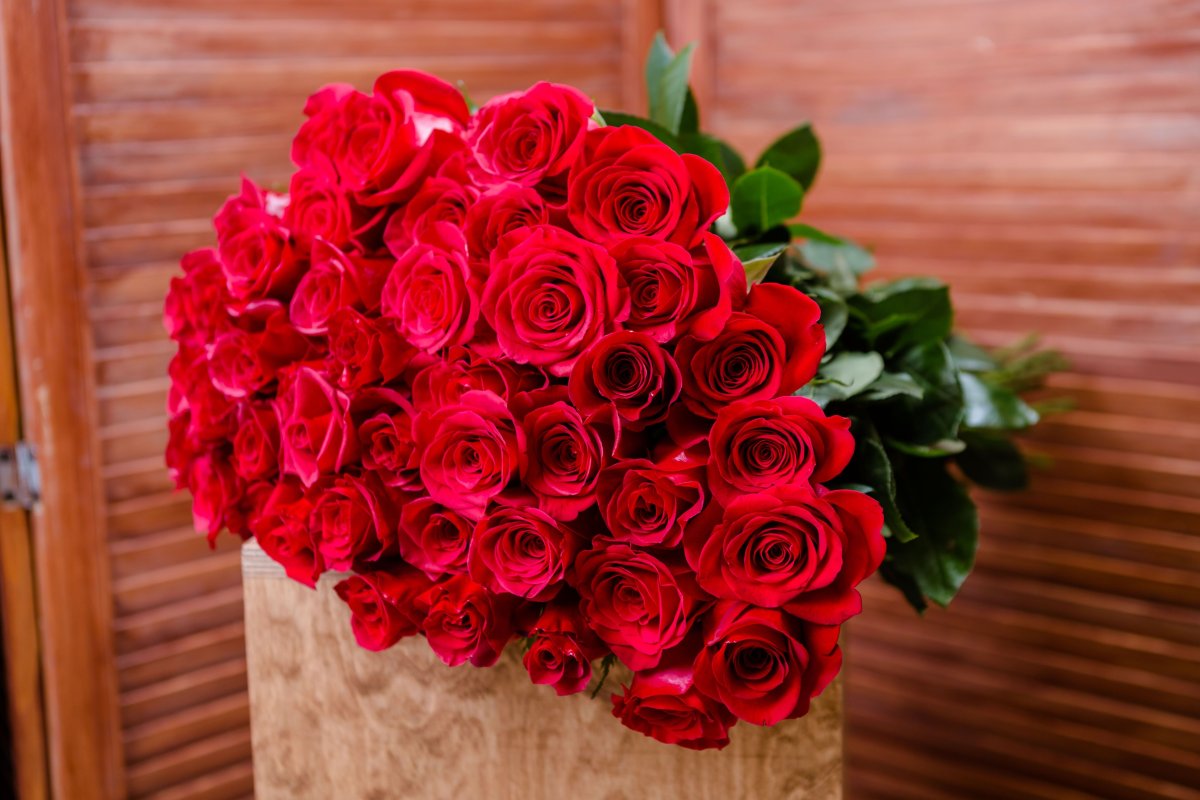 Букет цветов красивых роз фото красивые. Букет шикарный. Красивый букет роз. Шикарный букет роз. Огромный букет.