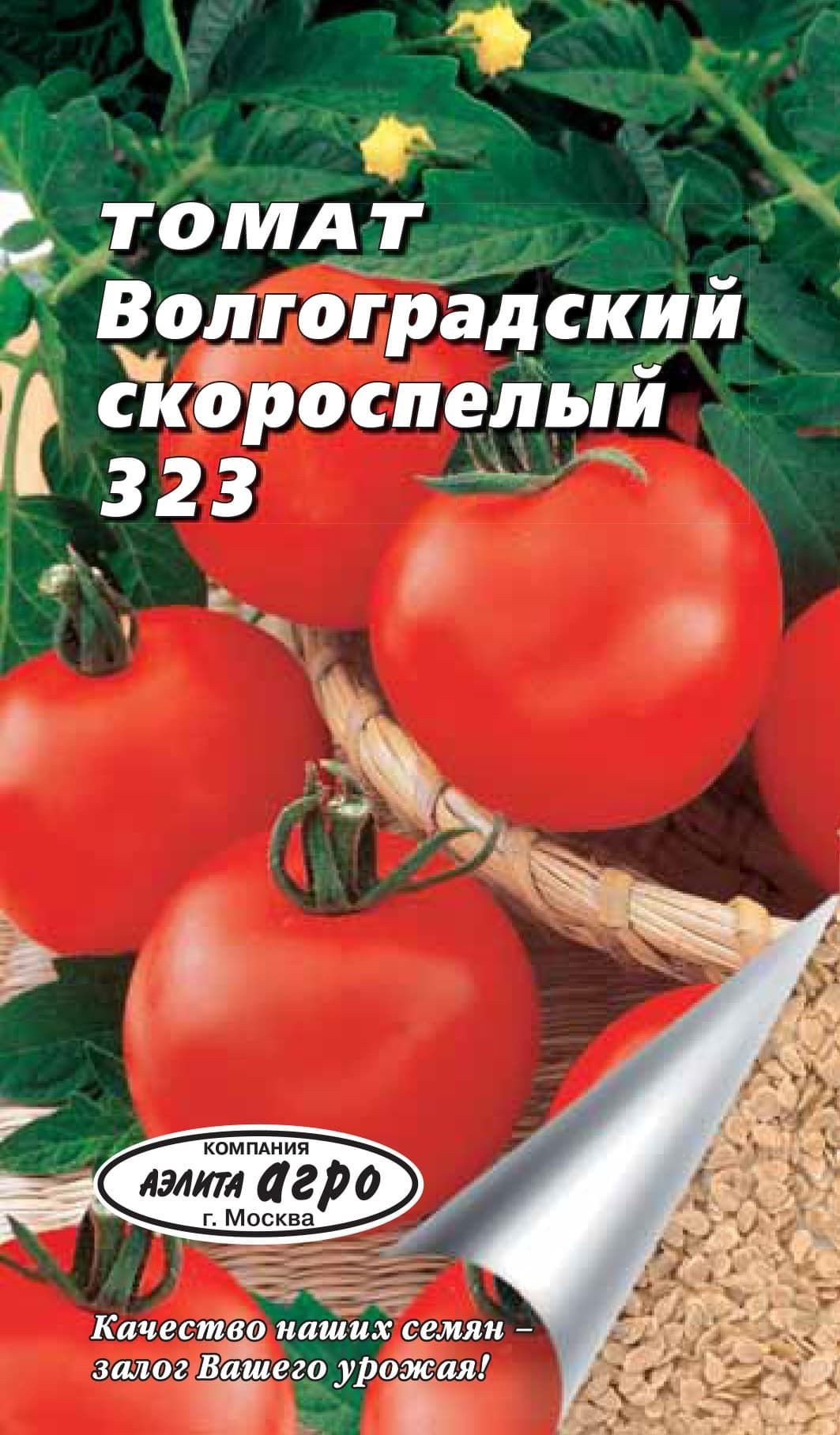 Волгоградский скороспелый томат 323 характеристика и описание