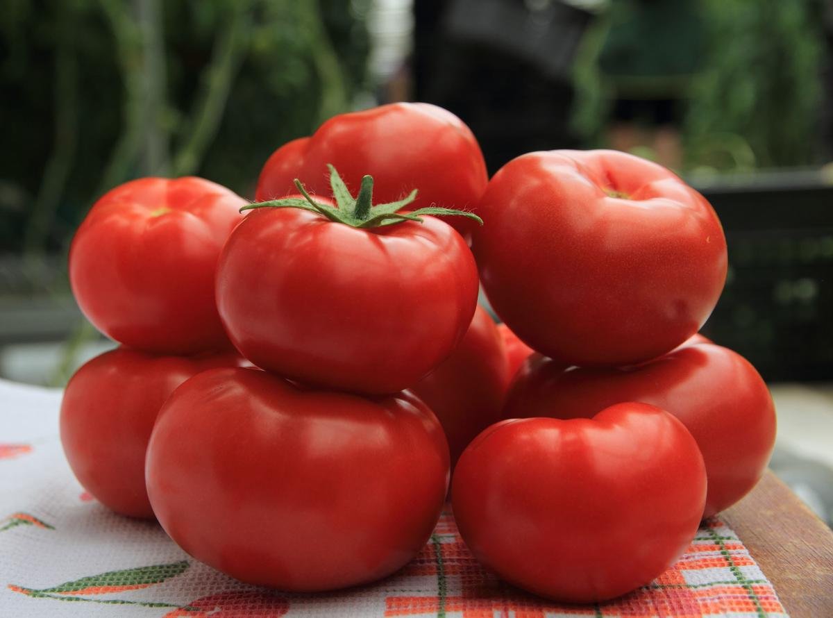 Похожие сорта томатов. Сорт помидор большая мамочка. Гавриш томат большая мамочка. Семена томата большая мамочка.