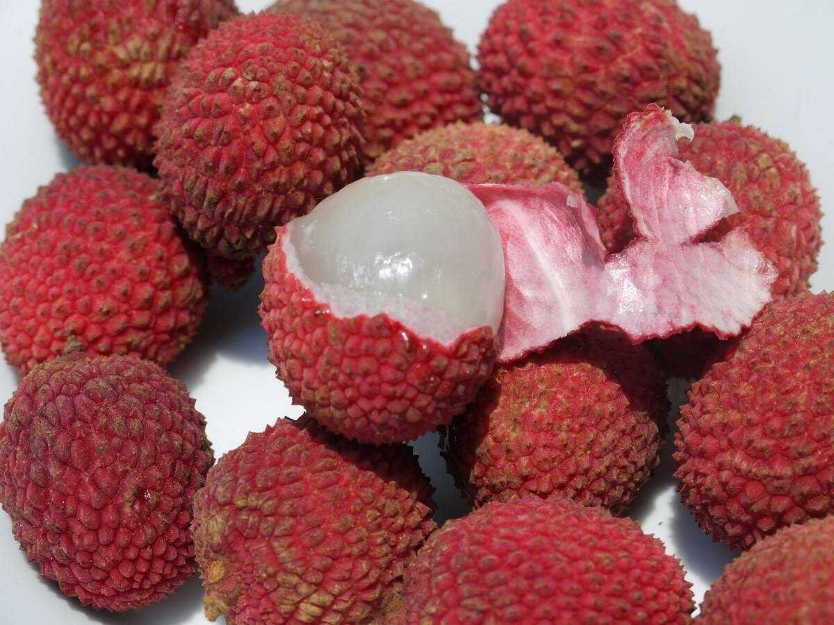 Патахайо что за фрукт. Litchi ягода. Экзофрукт личи. Личи мадагаскарские. Личи литчи китайская слива.