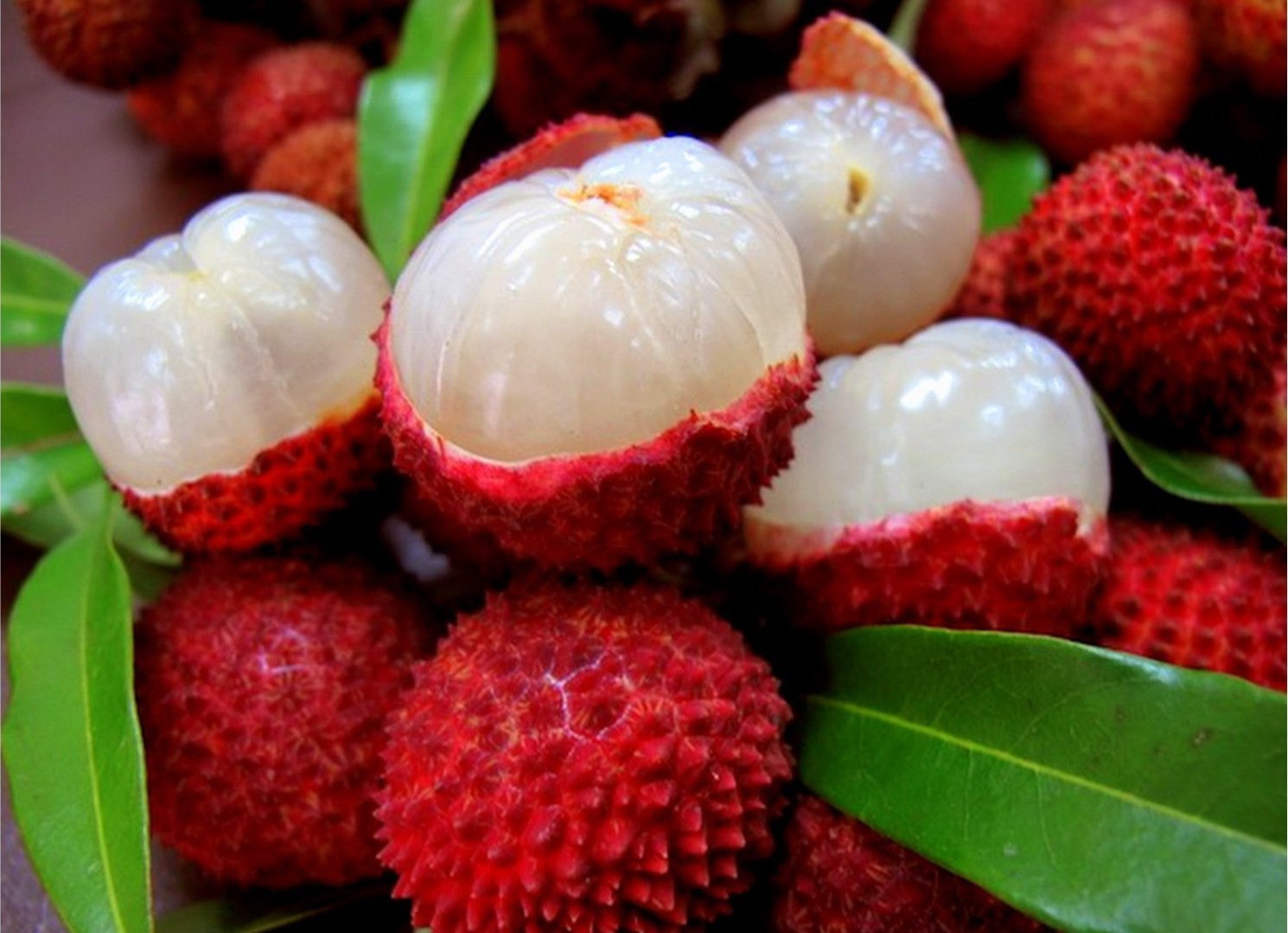 Фрукты и ягоды спелые. Личи фрукт. Рамбутан и личи. Личи Тайланд. Экзофрукт личи.