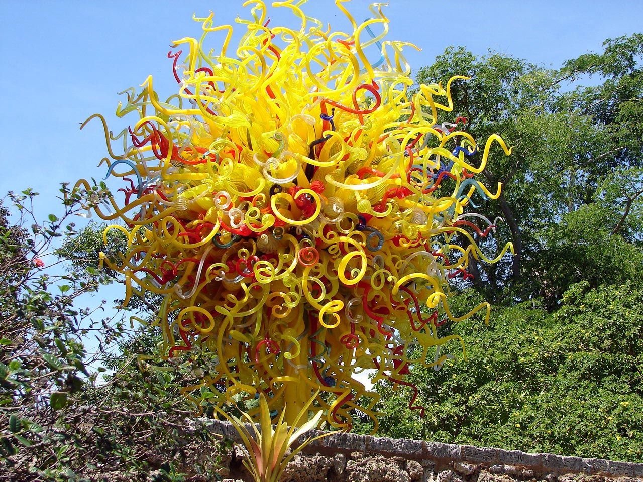 3 уникальных растения. Капур качари. АМБХАЛАБХАРА дерево в Индии. Kapoor Kachari растение. Необычные цветы.