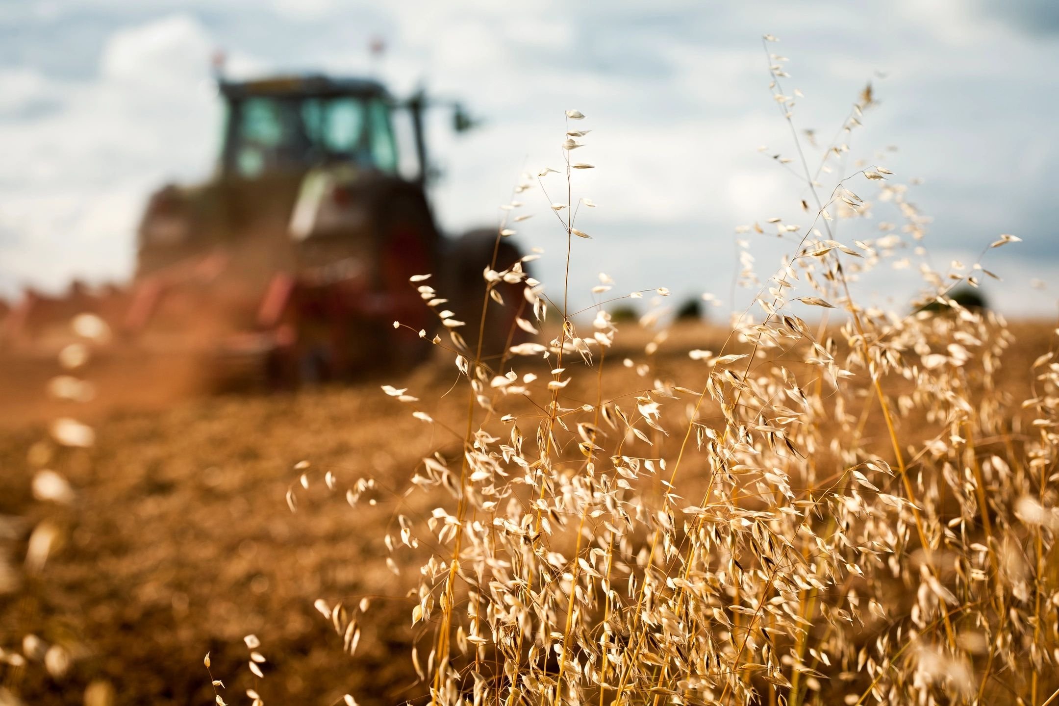 Трактор в поле. Поле сельское хозяйство. Поле пшеницы. Поле пшеницы и трактор.