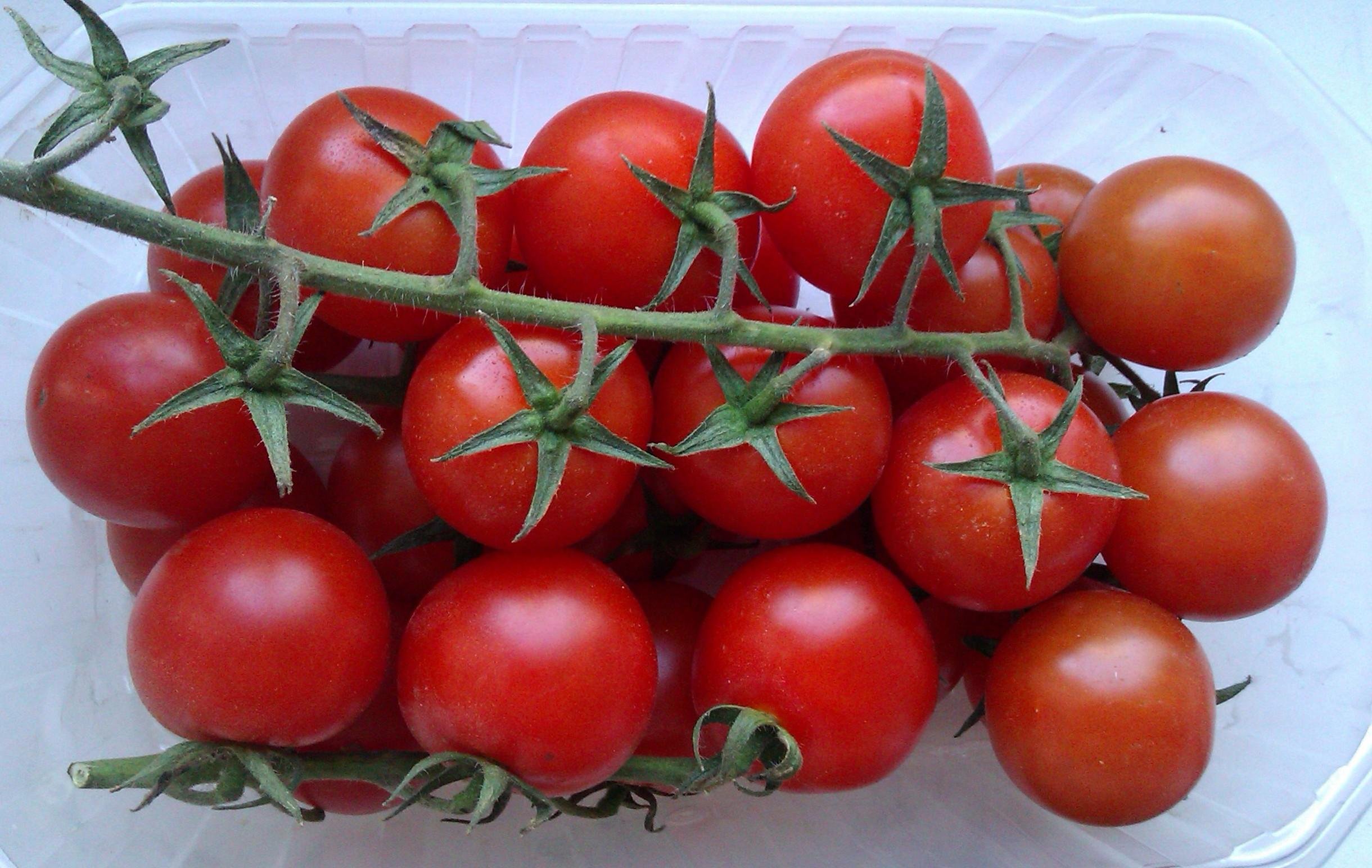 Семена томатов чери. Томат Ажур f1. Томат Афродита f1. Томат черри Урожайный. Томат детерминантный черри.