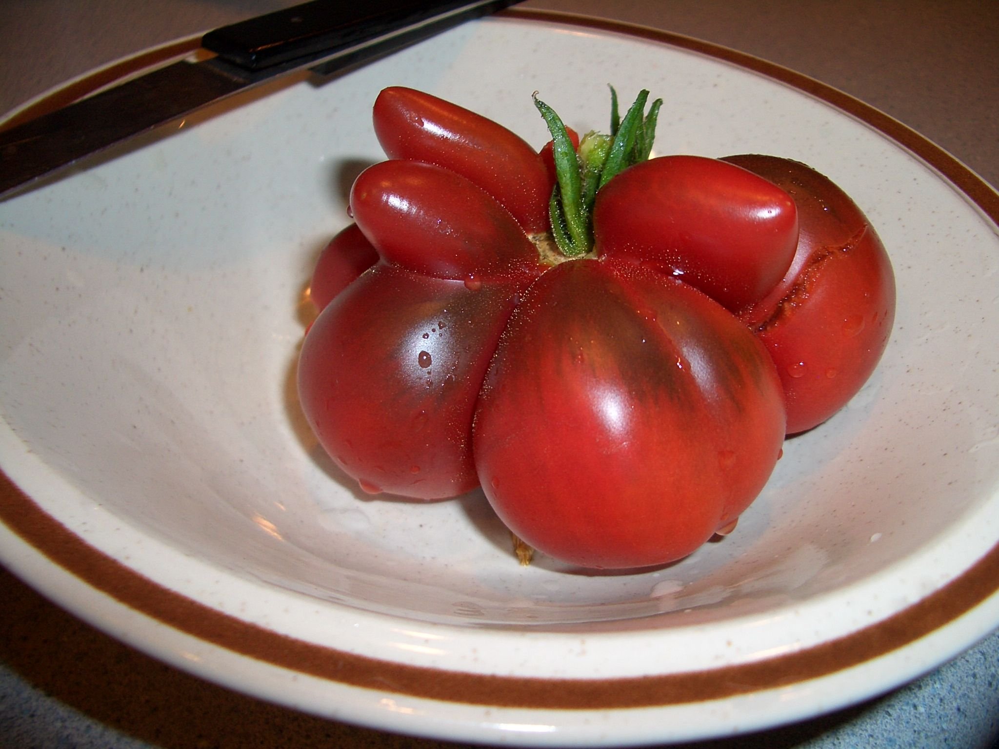 Семена томатов форум. Томат Зураба Кухианидзе. Томаты Паскаль из Пикардии семена. Помидор бичи глаза.