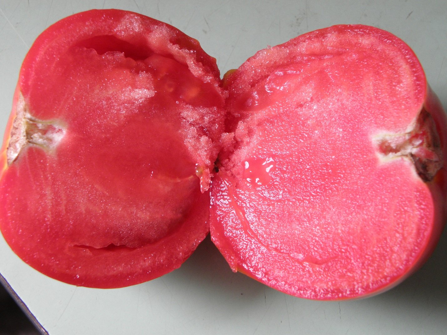 Форма семян томата. Розовые сердцевидные томаты крупноплодные. Томат розовый мясистый. Томат мамонтёнок. Бессемянные сорта томатов.