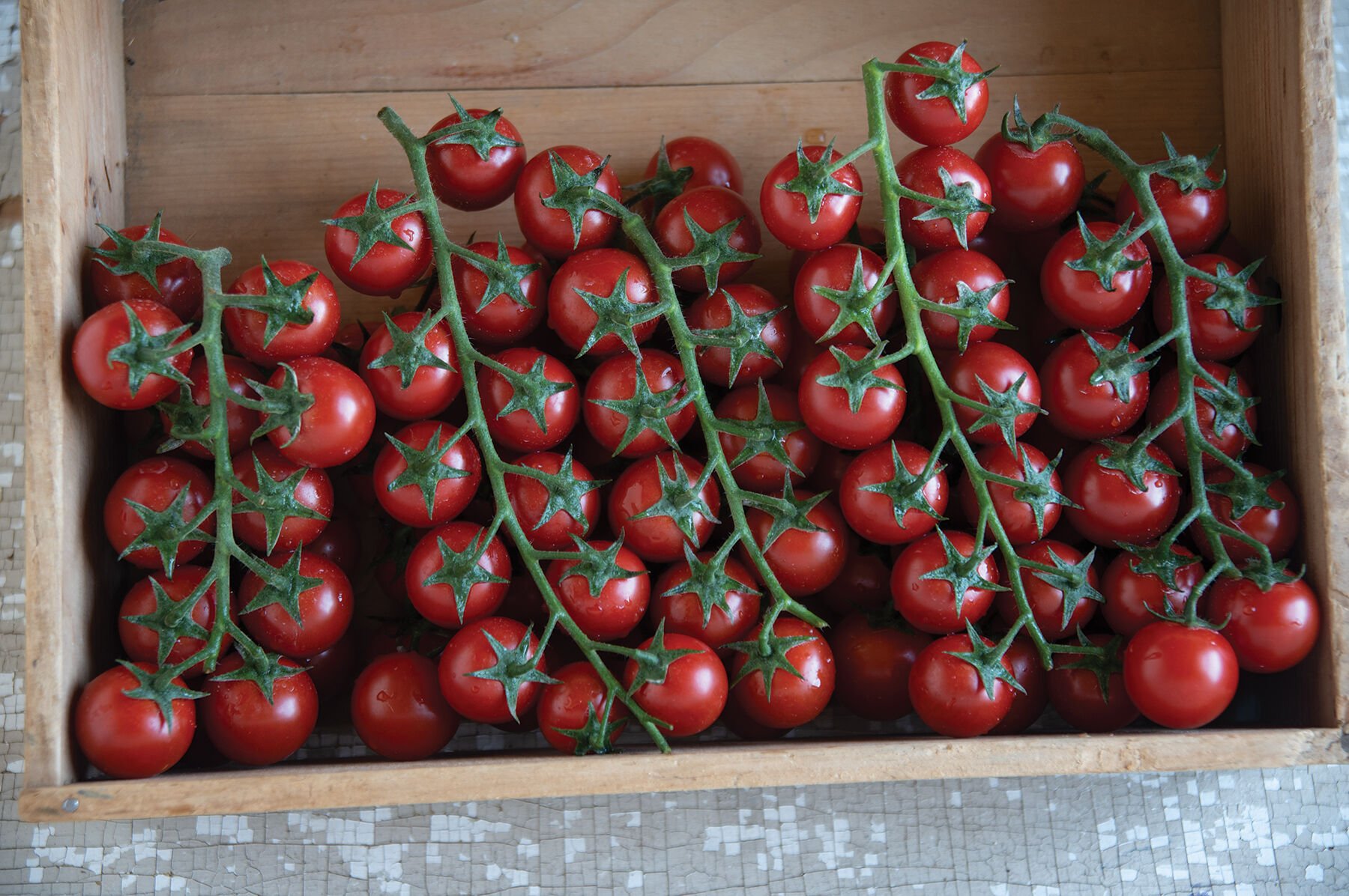 Как должны выглядеть помидоры. Томат-черри-13 f1. Томат черри Дюкре f1. Семена томат черри 13 f1. Томат черри старбена.