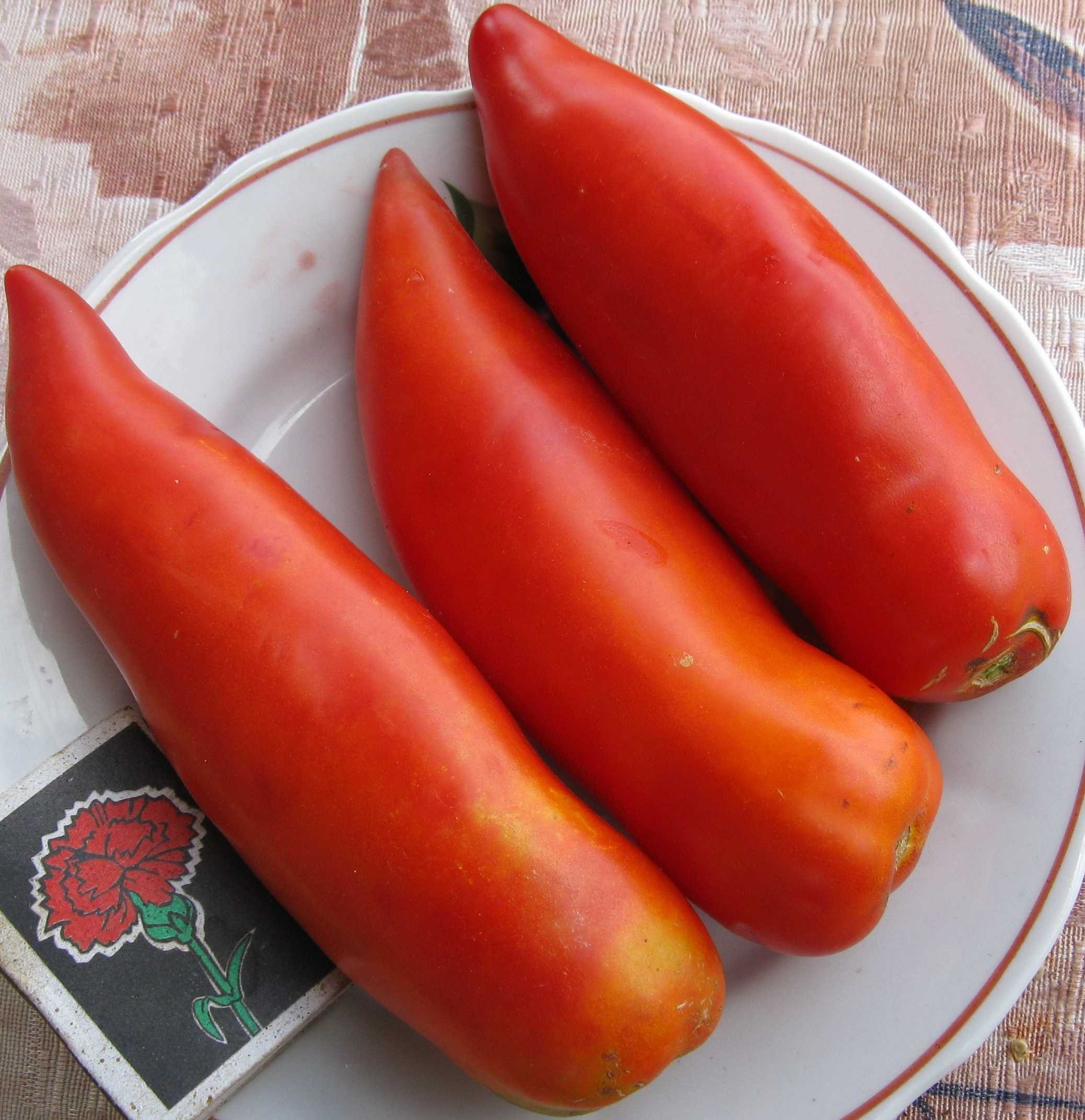Сорт помидор Перцевидный. Томат Перцевидный гигант. Семена томатов Перцевидный гигант. Томат Перцевидный красный.