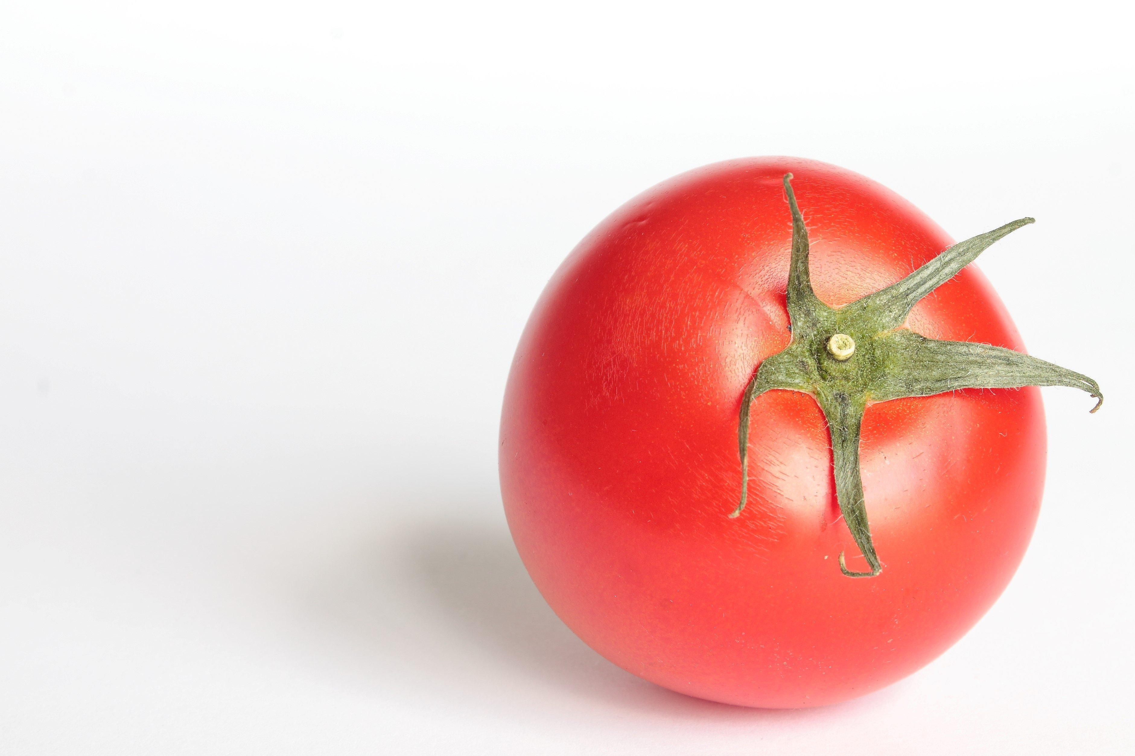 Tomato red. Помидор. Овощи красного цвета. Овощи помидор. Помидор красный цвета.