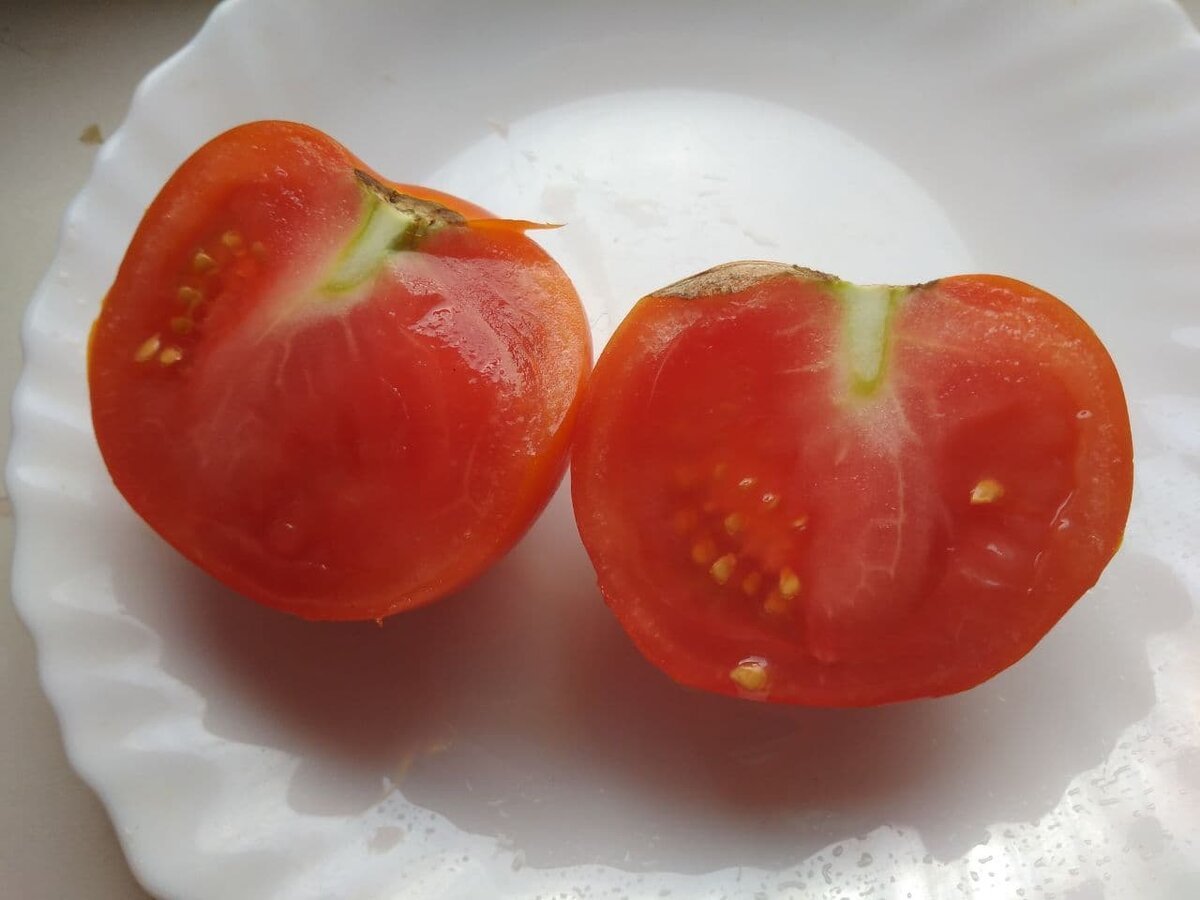 Семена томатов форум. Помидор сорт мармелад. Сорт томата Атлант. Плод мало камерный и многокамерный томат. Сорт помидоров похожий на персик волосатый.
