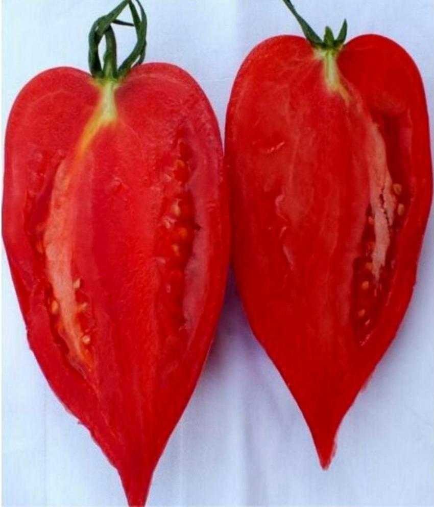 Томат Перцевидный красный. Томат Перцевидный малиновый. Сорт помидор Перцевидный. Семена томатов Перцевидный гигант.