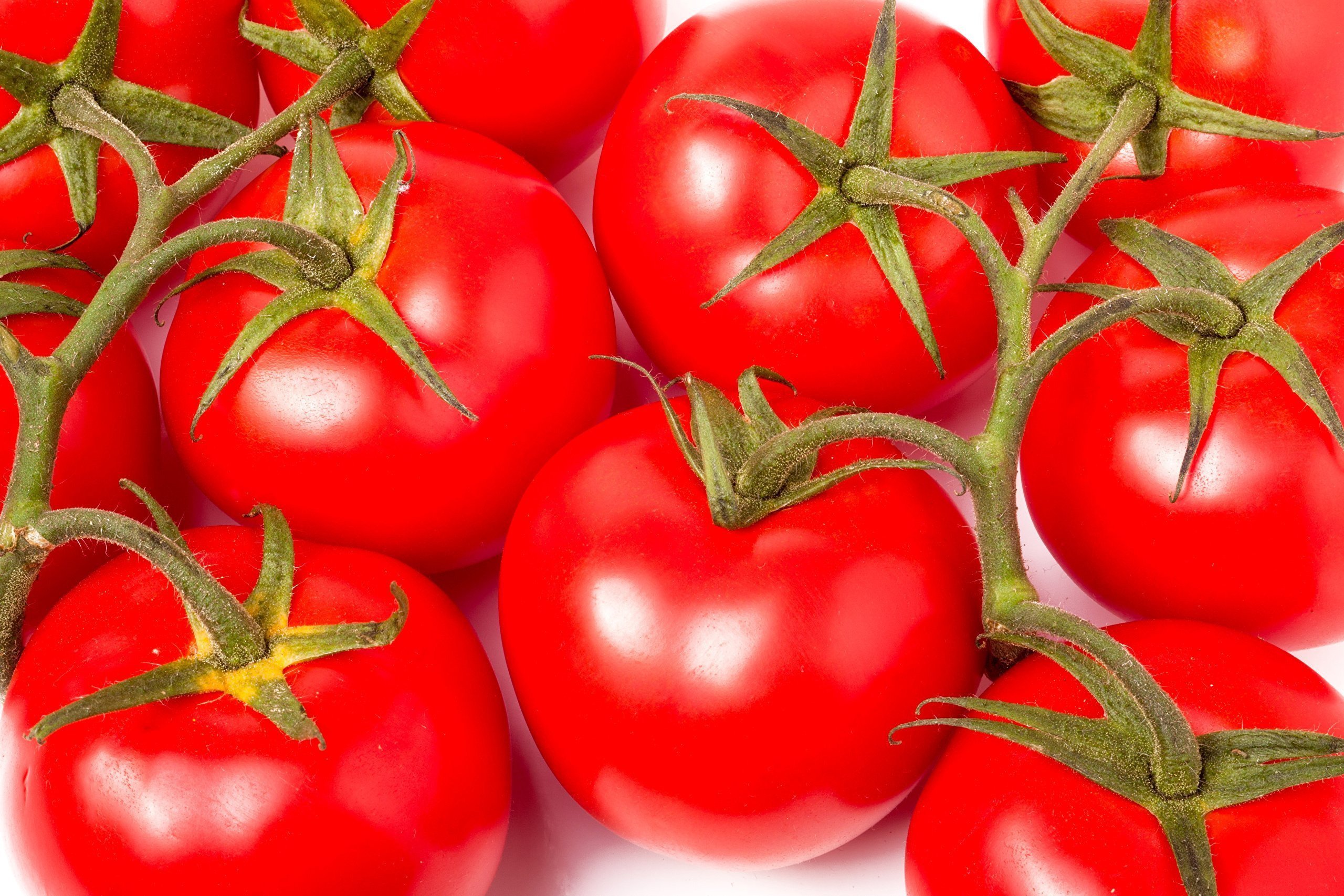Помидор. Красивые помидоры. Помидоры свежие. Красный помидор. Моя дорога в детство томат помидор 2024