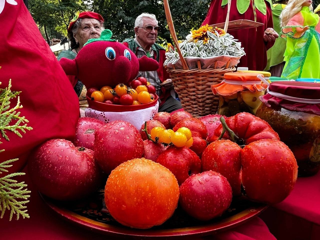 Сызранский помидор фестиваль помидор. Фестиваль помидоров в Сызрани. День помидора в Сызрани. Праздник момидорсызрань. День помидора в 2023 году
