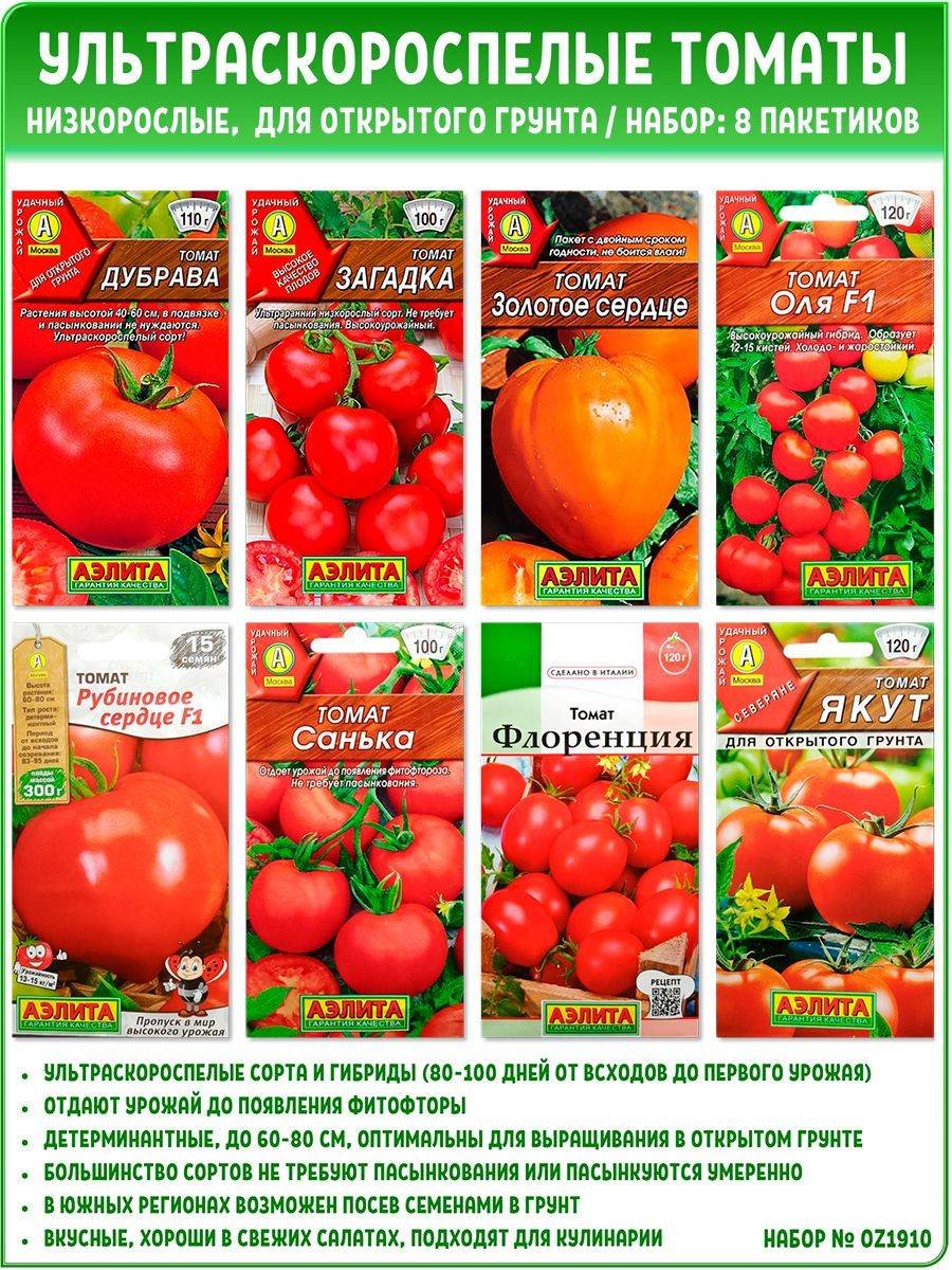 Семена помидор ультраскороспелые сорта. Ультраскороспелые сорта томатов. Ультраскороспелые сорта томатов для открытого грунта.