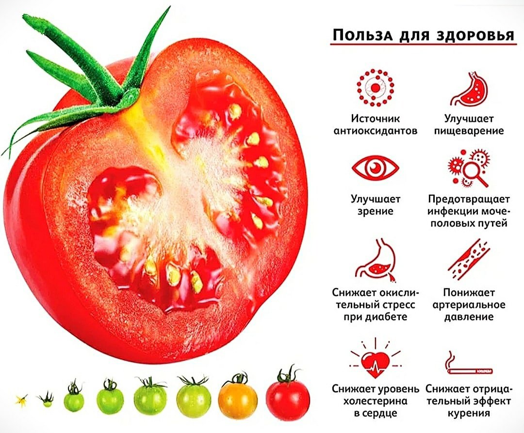 При язве можно помидоры. Интересные факты о помидорах. Чем полезны помидоры. Чем полезны помидоры для организма. Польза помидоров.