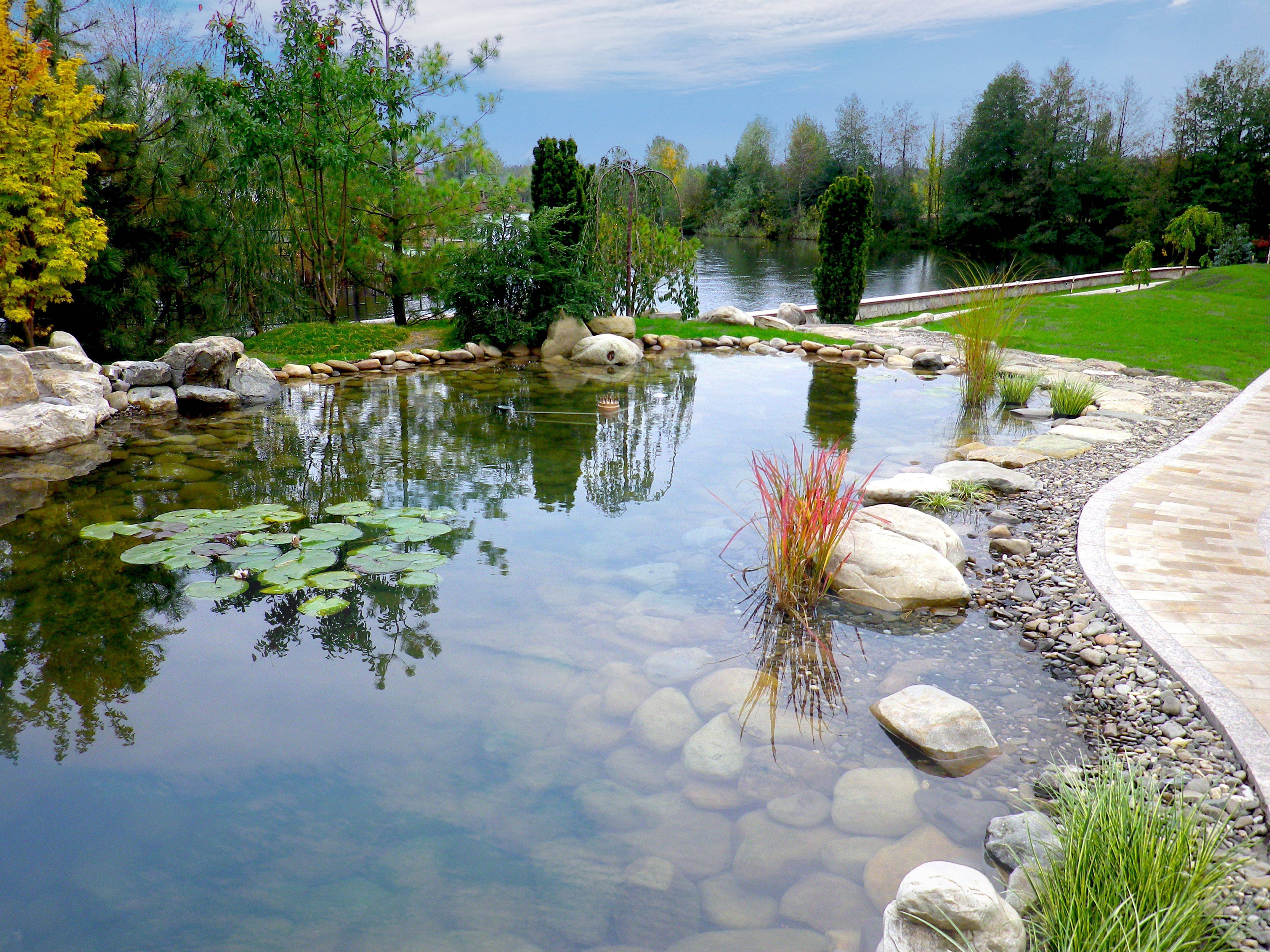 Озером называется природный водоем который. Пруд в саду с биоплато. Ландшафт dizayn искусственного озеро. Ландшафтный рокарий Каскад ручьев. Ландшафтный парк Шмелевский ручей.