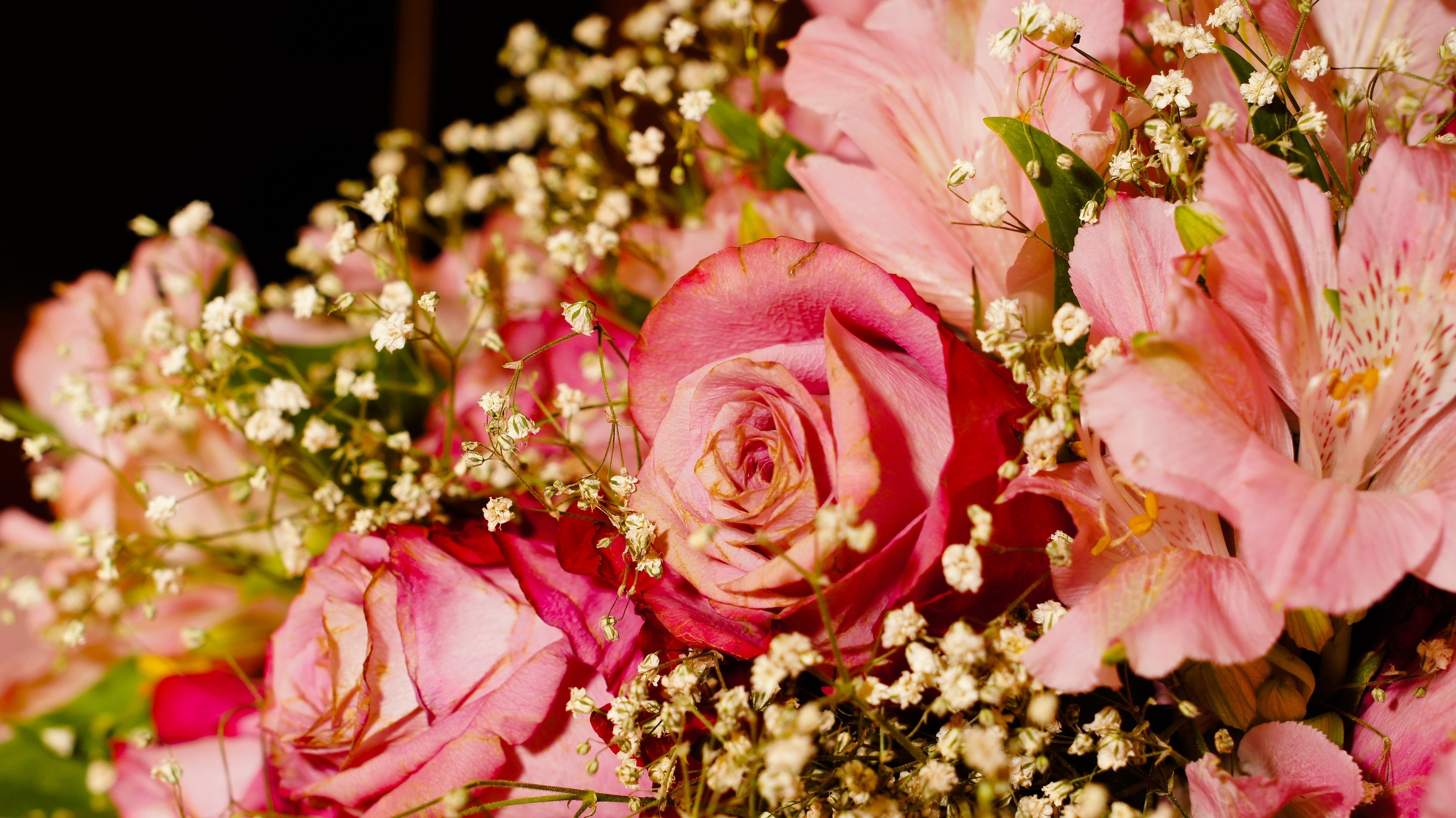 Красивые картинки с цветами для телефона. Красивый букет цветов. Шикарные цветы. Роскошный букет.