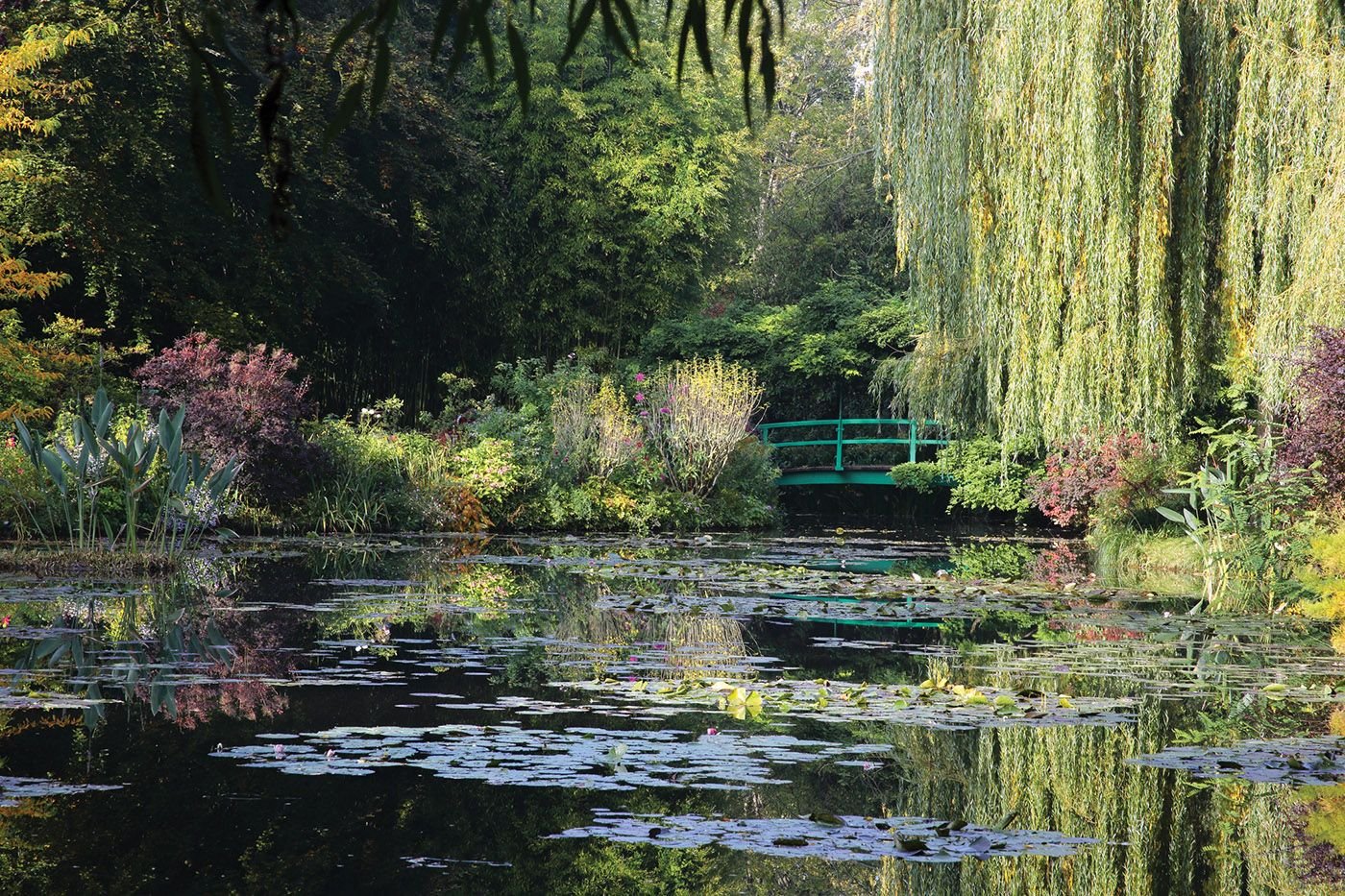 Сад Клода Моне в Живерни. Сад Клода Моне, Франция, Живерни. Ива у пруда