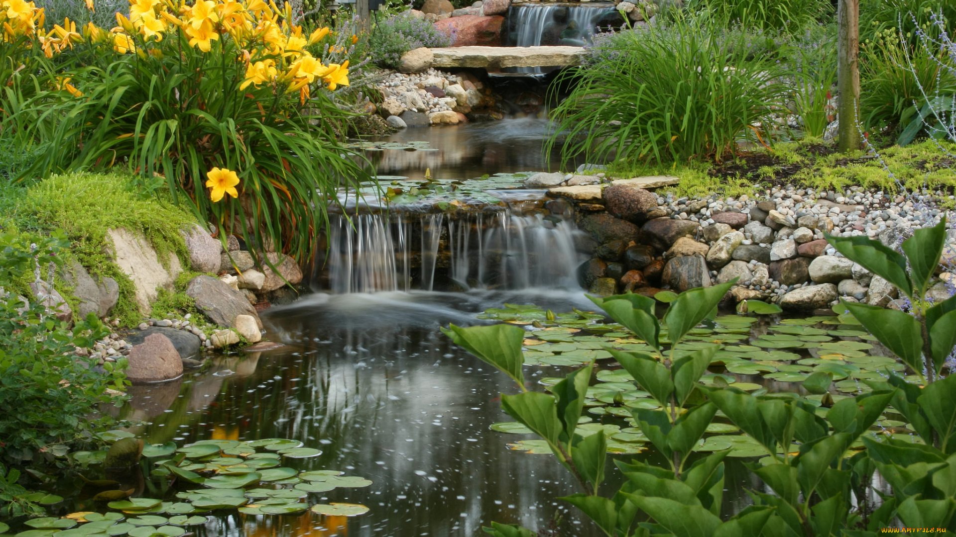 Цветочный пруд 22. Каскад искусственный водопад. Каскад прудов реки Крапивна. Ландшафтный парк Шмелевский ручей. Прудики с ручейком.