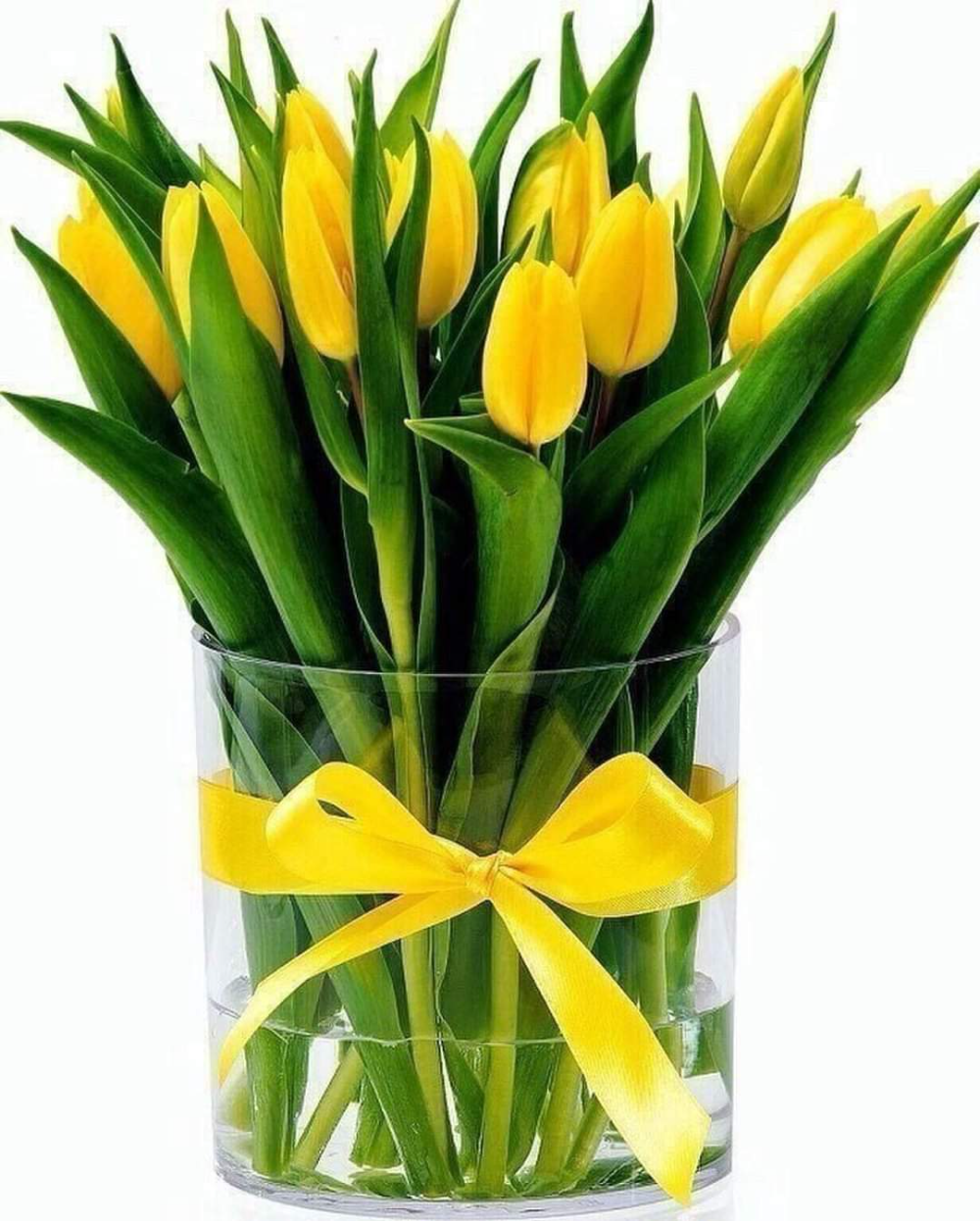 Букет тюльпанов. Желтые тюльпаны. Весенний букет. Красивый букет желтых тюльпанов. Желтые тюльпаны к чему дарят женщине