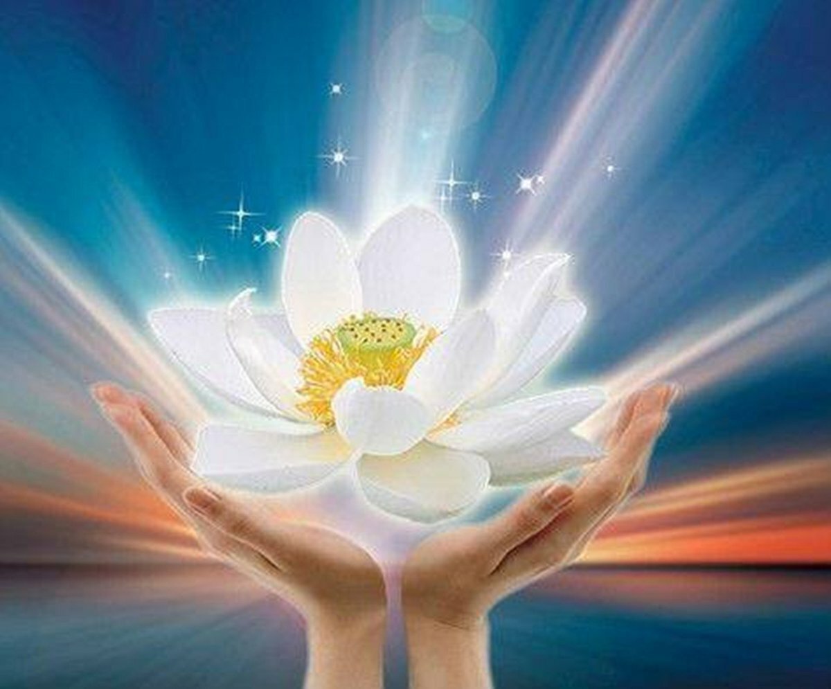 Цветок лотоса медитация АЛЛАТРА. Радость души. Гармония и счастье. Гармония и радость.