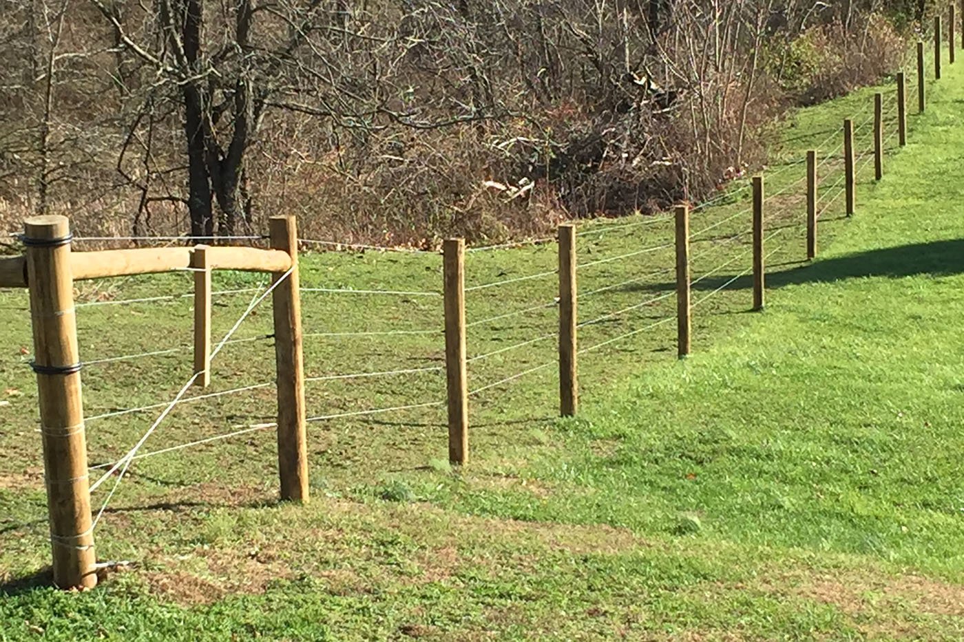 Манипуляция забор. Заборы и ограждения. Временный забор на участке. Огородить участок. Ограда для деревьев.