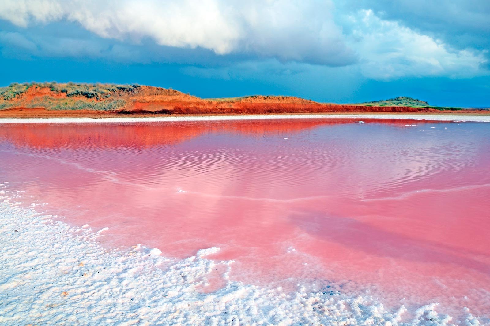 Розовое озеро саки. Сасык Сиваш озеро. Крым Саки озеро Сасык. Кояшское озеро. Розовое озеро Евпатория Сасык Сиваш.