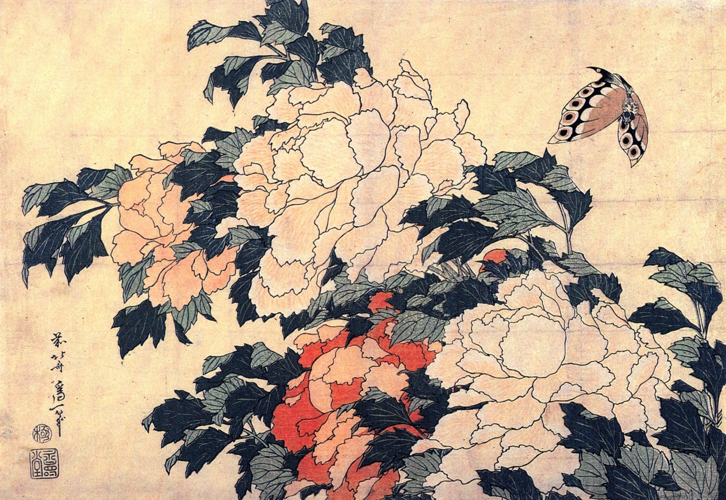 Японская гравюра. Кацусика Хокусай. Кацусика Хокусай (1760–1849). Японский художник Кацусика Хокусай. Кацусика Хокусай пионы и бабочка.