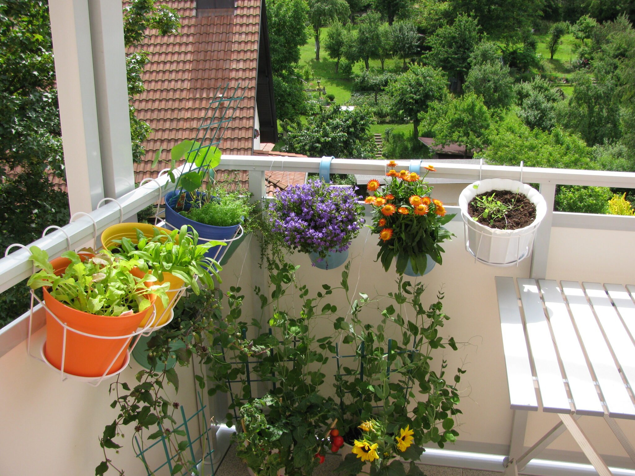Когда весной можно выносить на улицу. Растения на балконе. Цветы на лоджии. Комнатные растения на балконе. Цветы на застекленном балконе.