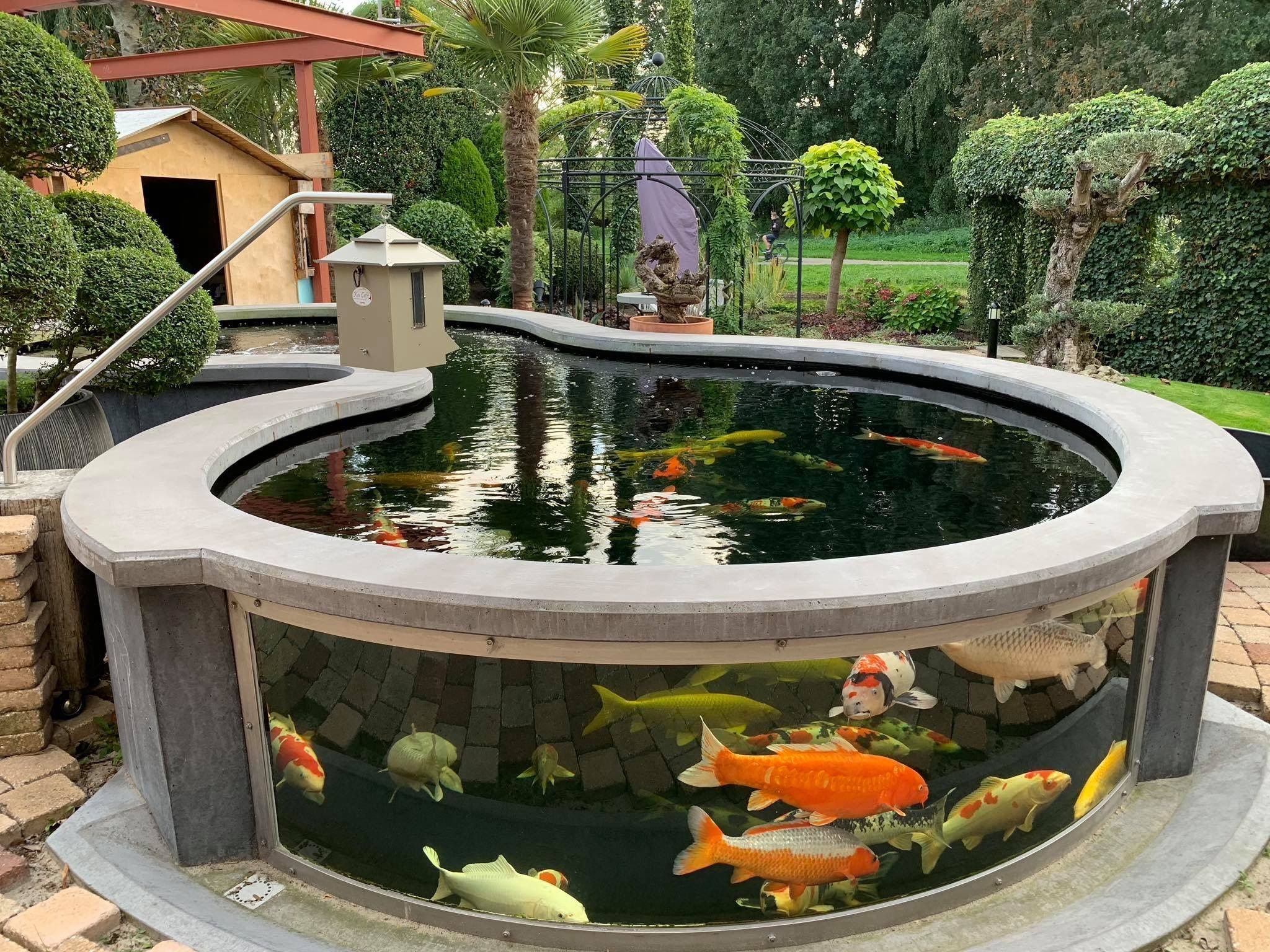 Аквариум в водоеме. Прудик в саду. Прудик с рыбками. Уличный аквариум. Ландшафтный пруд с рыбками.