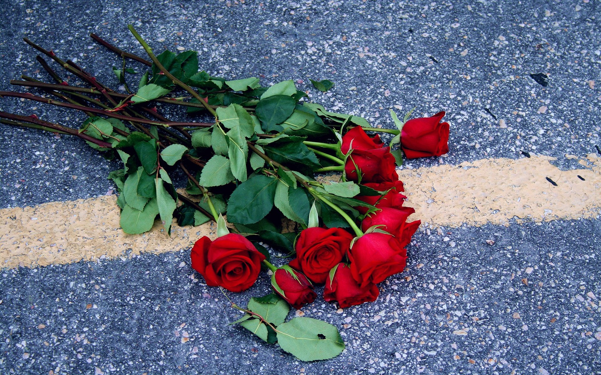 Сорванные цветы. Выброшенные цветы. Выброшенный букет цветов. Выброшенные розы. Розы на полу.