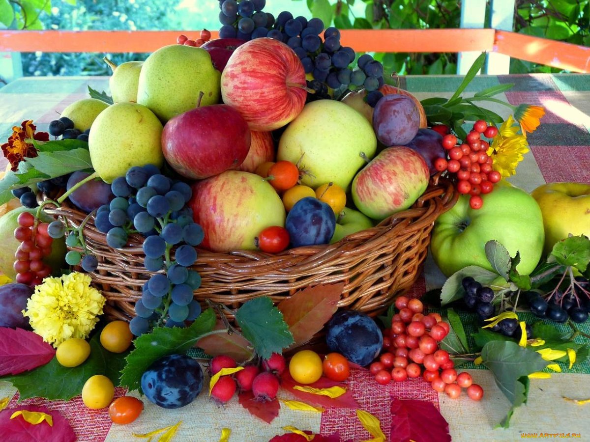 Лето время овощей и фруктов. Летние фрукты. Корзина с фруктами. Плоды осени. Корзинка с фруктами и цветами.